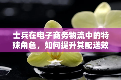 士兵在电子商务物流中的特殊角色，如何提升其配送效率与安全性？