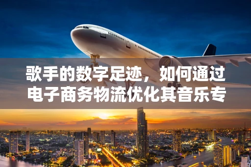 歌手的数字足迹，如何通过电子商务物流优化其音乐专辑的配送体验？