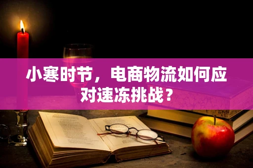 小寒时节，电商物流如何应对速冻挑战？