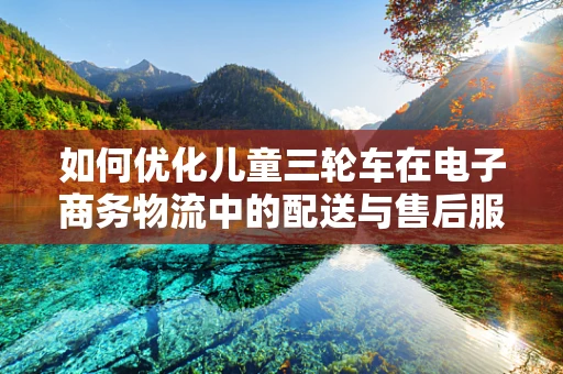 如何优化儿童三轮车在电子商务物流中的配送与售后服务？