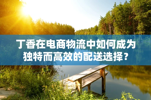丁香在电商物流中如何成为独特而高效的配送选择？