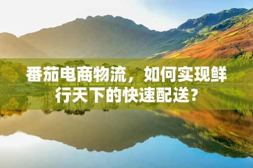 番茄电商物流，如何实现鲜行天下的快速配送？