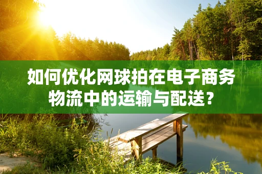 如何优化网球拍在电子商务物流中的运输与配送？