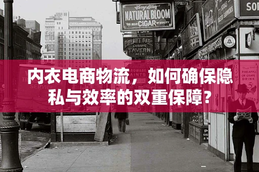 内衣电商物流，如何确保隐私与效率的双重保障？