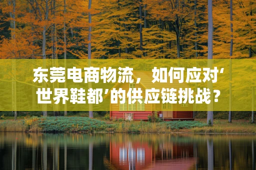 东莞电商物流，如何应对‘世界鞋都’的供应链挑战？
