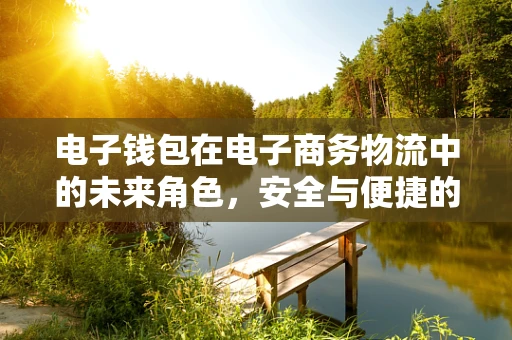 电子钱包在电子商务物流中的未来角色，安全与便捷的双重挑战？