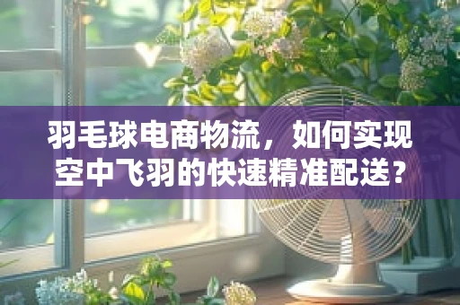 羽毛球电商物流，如何实现空中飞羽的快速精准配送？