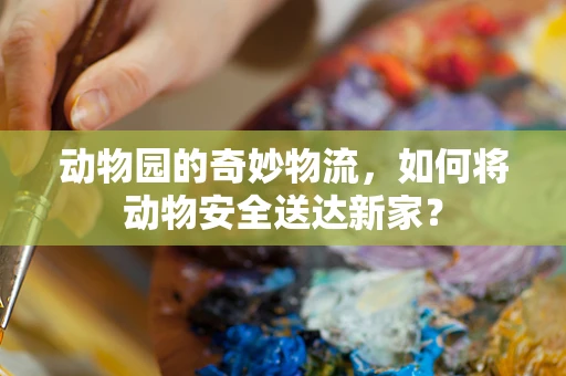 动物园的奇妙物流，如何将动物安全送达新家？