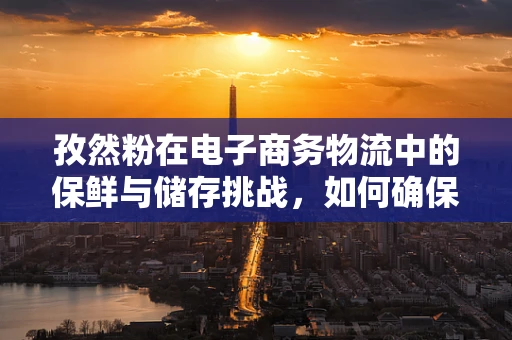 孜然粉在电子商务物流中的保鲜与储存挑战，如何确保香气与品质？