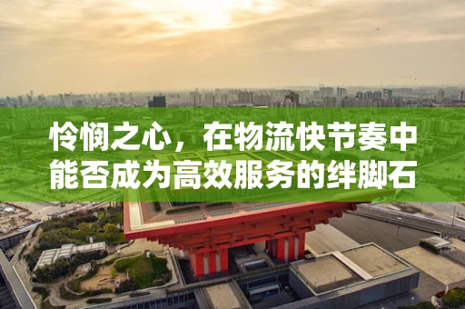 怜悯之心，在物流快节奏中能否成为高效服务的绊脚石？
