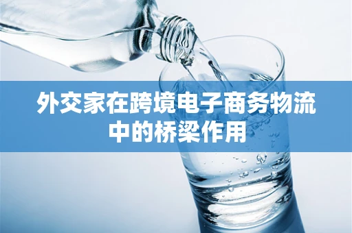 外交家在跨境电子商务物流中的桥梁作用