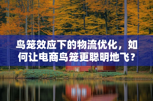 鸟笼效应下的物流优化，如何让电商鸟笼更聪明地飞？