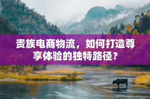 贵族电商物流，如何打造尊享体验的独特路径？