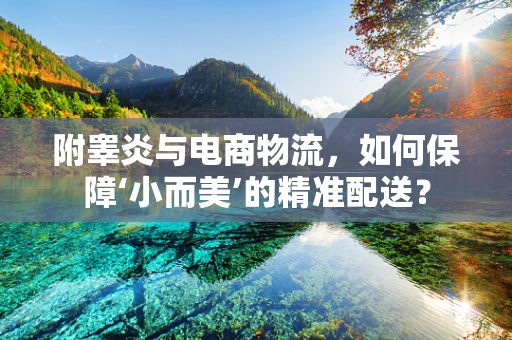 附睾炎与电商物流，如何保障‘小而美’的精准配送？