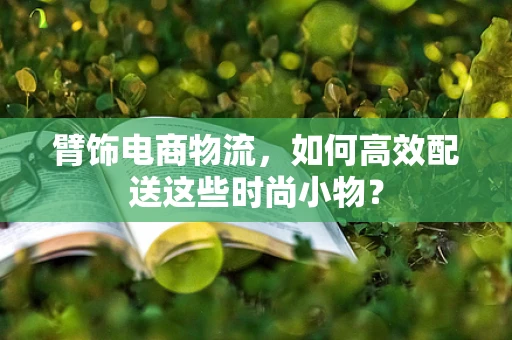 臂饰电商物流，如何高效配送这些时尚小物？