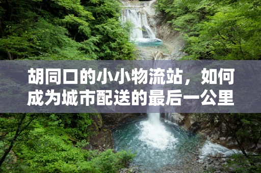 胡同口的小小物流站，如何成为城市配送的最后一公里解困者？