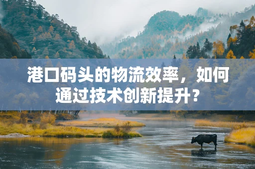 港口码头的物流效率，如何通过技术创新提升？
