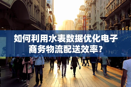 如何利用水表数据优化电子商务物流配送效率？