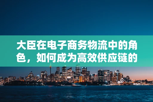 大臣在电子商务物流中的角色，如何成为高效供应链的幕后英雄？