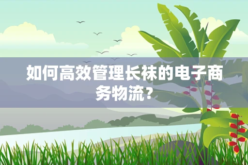 如何高效管理长袜的电子商务物流？
