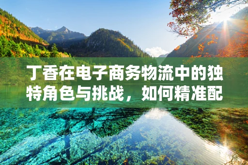 丁香在电子商务物流中的独特角色与挑战，如何精准配送？