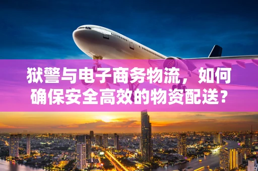 狱警与电子商务物流，如何确保安全高效的物资配送？
