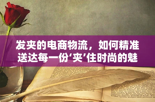 发夹的电商物流，如何精准送达每一份‘夹’住时尚的魅力？