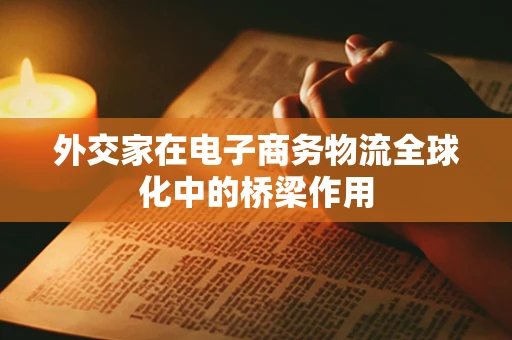 外交家在电子商务物流全球化中的桥梁作用