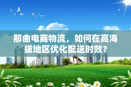 那曲电商物流，如何在高海拔地区优化配送时效？