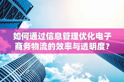如何通过信息管理优化电子商务物流的效率与透明度？
