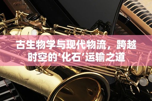 古生物学与现代物流，跨越时空的‘化石’运输之道