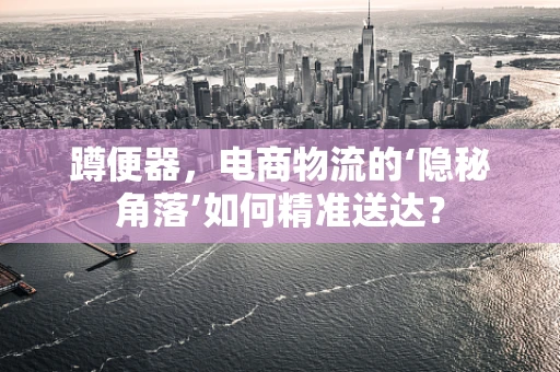 蹲便器，电商物流的‘隐秘角落’如何精准送达？