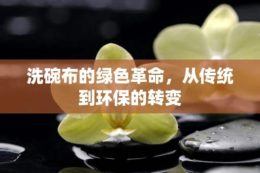 洗碗布的绿色革命，从传统到环保的转变