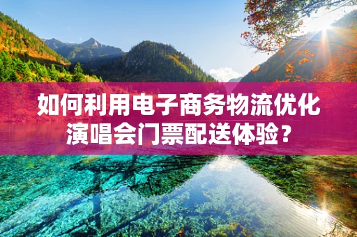 如何利用电子商务物流优化演唱会门票配送体验？