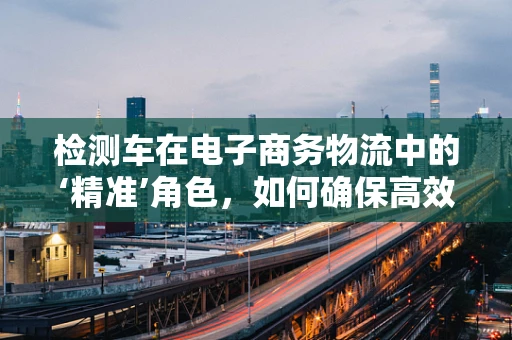 检测车在电子商务物流中的‘精准’角色，如何确保高效与安全？