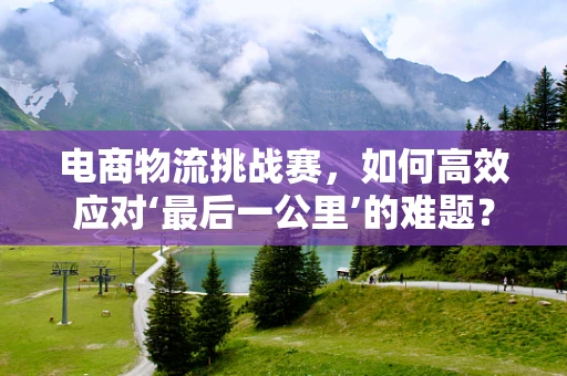 电商物流挑战赛，如何高效应对‘最后一公里’的难题？