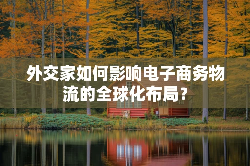 外交家如何影响电子商务物流的全球化布局？