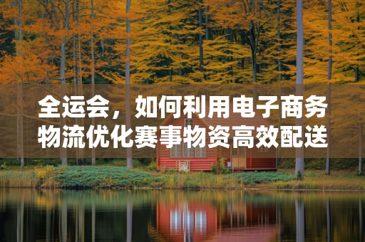 全运会，如何利用电子商务物流优化赛事物资高效配送？