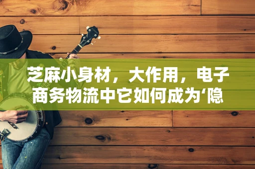 芝麻小身材，大作用，电子商务物流中它如何成为‘隐形的加速器’？