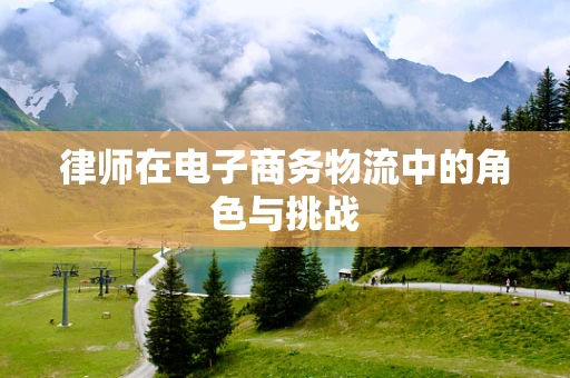 律师在电子商务物流中的角色与挑战