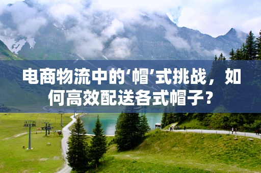电商物流中的‘帽’式挑战，如何高效配送各式帽子？