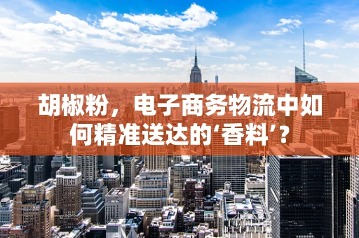 胡椒粉，电子商务物流中如何精准送达的‘香料’？