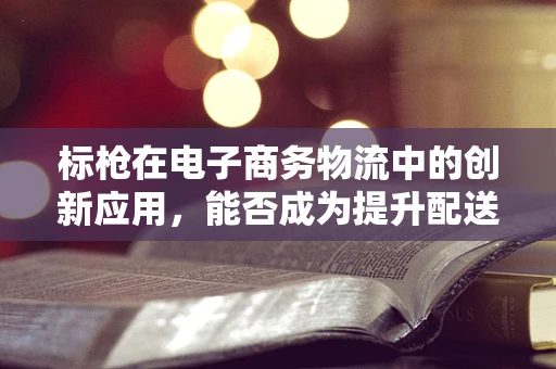 标枪在电子商务物流中的创新应用，能否成为提升配送效率的‘新利器’？