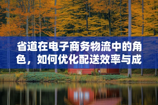 省道在电子商务物流中的角色，如何优化配送效率与成本控制？