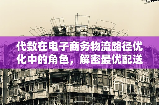 代数在电子商务物流路径优化中的角色，解密最优配送策略的密钥
