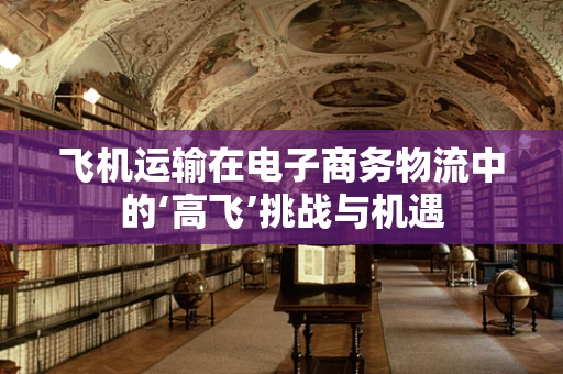 飞机运输在电子商务物流中的‘高飞’挑战与机遇