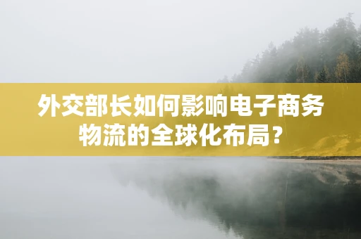 外交部长如何影响电子商务物流的全球化布局？