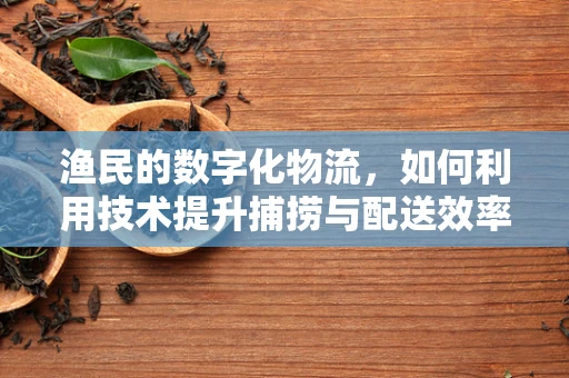 渔民的数字化物流，如何利用技术提升捕捞与配送效率？