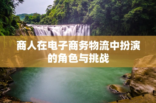 商人在电子商务物流中扮演的角色与挑战