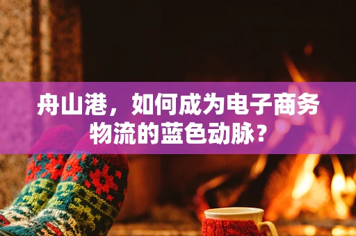 舟山港，如何成为电子商务物流的蓝色动脉？